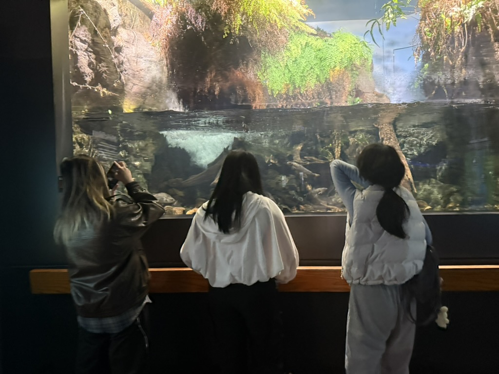 Students visiting the New England Aquarium during a supervised Thanksgiving activity